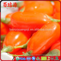 Health food goji berry producer